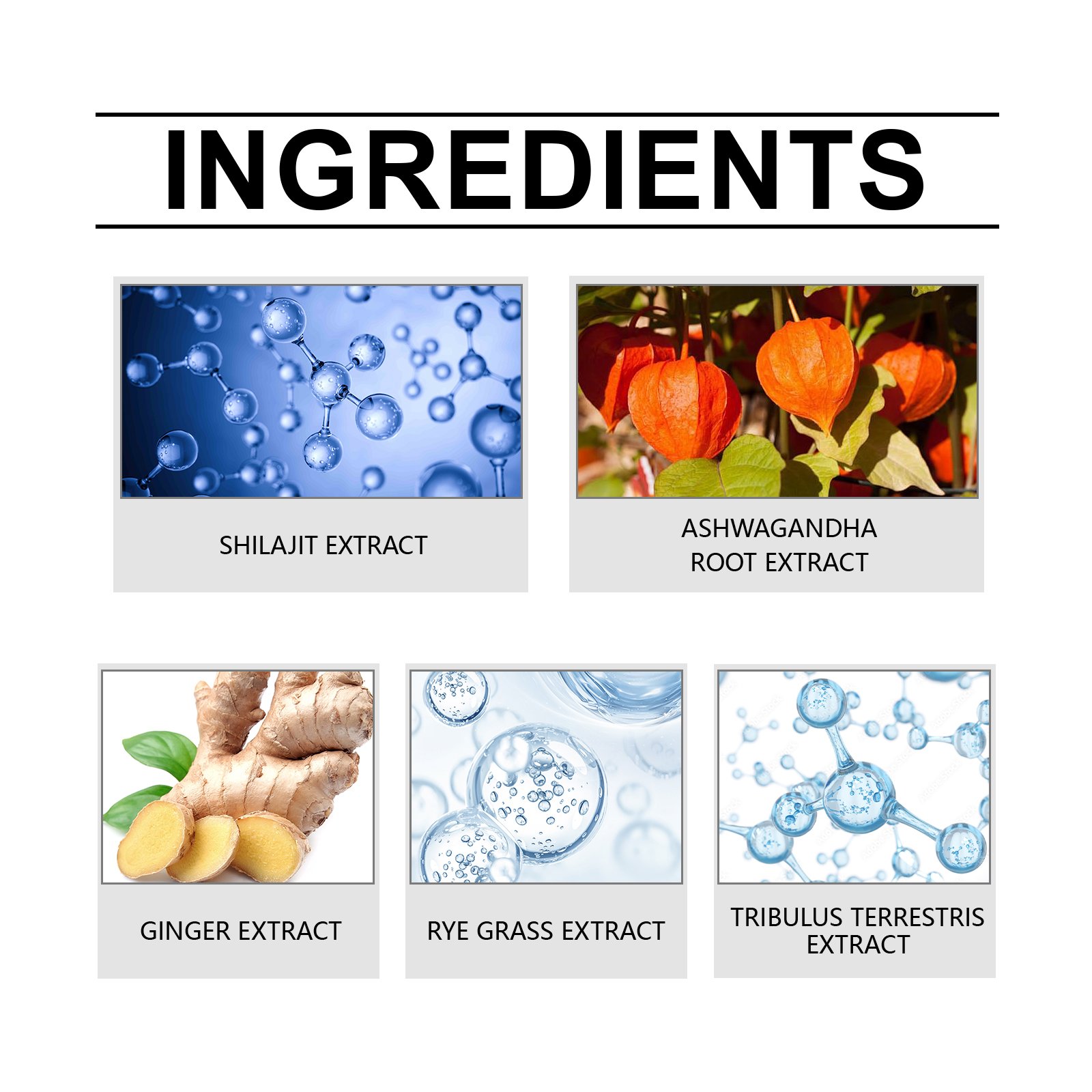 Pure Himalayan Shilajit Gummies product detail 1