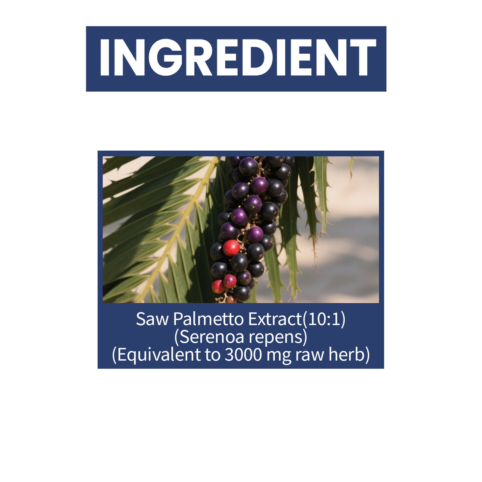 Men's Prostate and Urinary Support Drops product detail 1